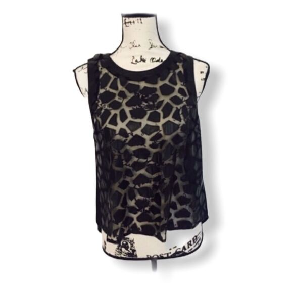 ASTR SZ S sheer top - Picture 1 of 5